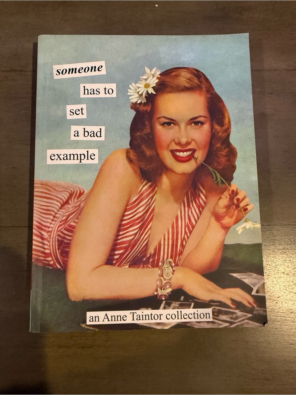 NEW Someone Has To Set a Bad Example: An Anne Taunton Collection Paperback Book